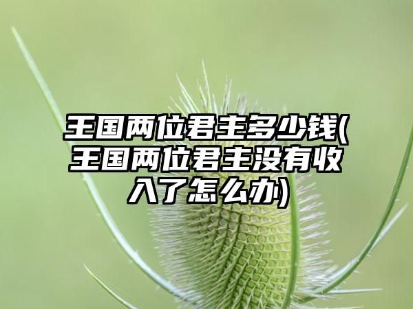 王国两位君主多少钱(王国两位君主没有收入了怎么办)