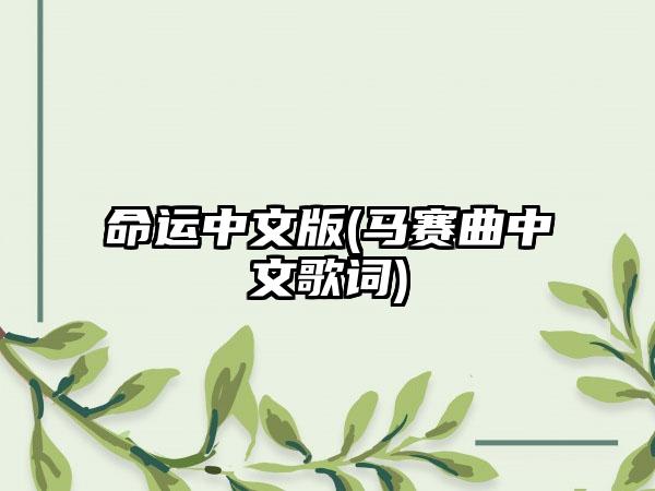 命运中文版(马赛曲中文歌词)