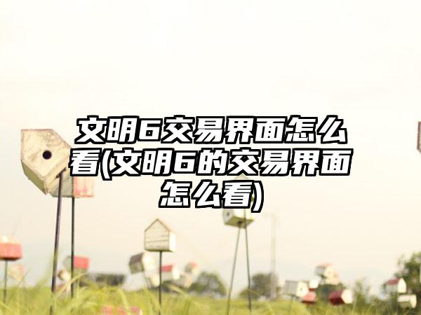 文明6交易界面怎么看(文明6的交易界面怎么看)