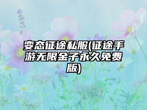 变态征途私服(征途手游无限金子永久免费版)