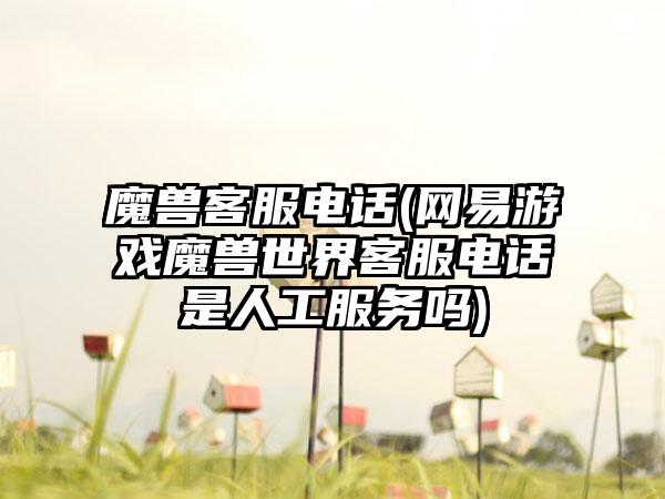 魔兽客服电话(网易游戏魔兽世界客服电话是人工服务吗)