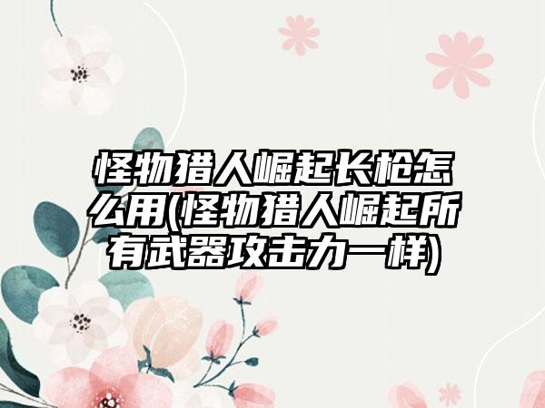 怪物猎人崛起长枪怎么用(怪物猎人崛起所有武器攻击力一样)