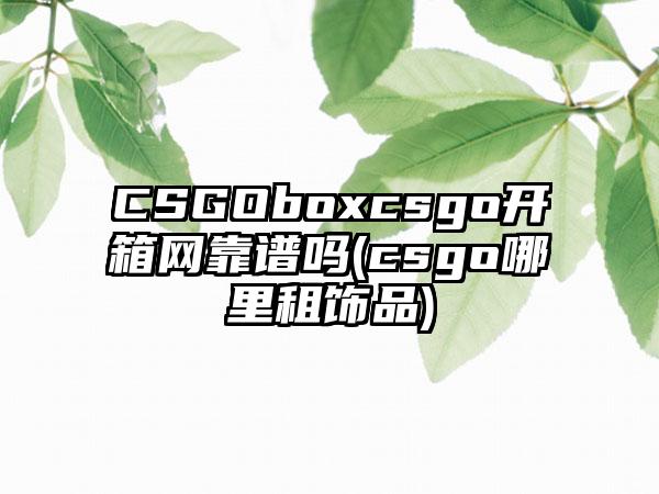 CSGOboxcsgo开箱网靠谱吗(csgo哪里租饰品)