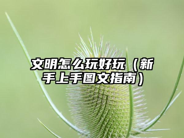 文明怎么玩好玩（新手上手图文指南）
