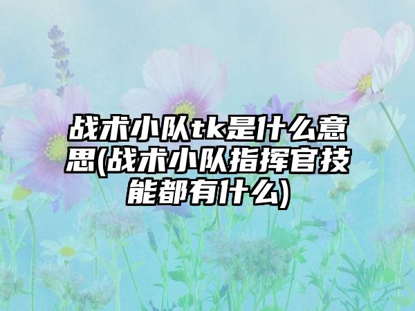 战术小队tk是什么意思(战术小队指挥官技能都有什么)