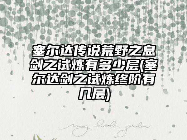 塞尔达传说荒野之息剑之试炼有多少层(塞尔达剑之试炼终阶有几层)