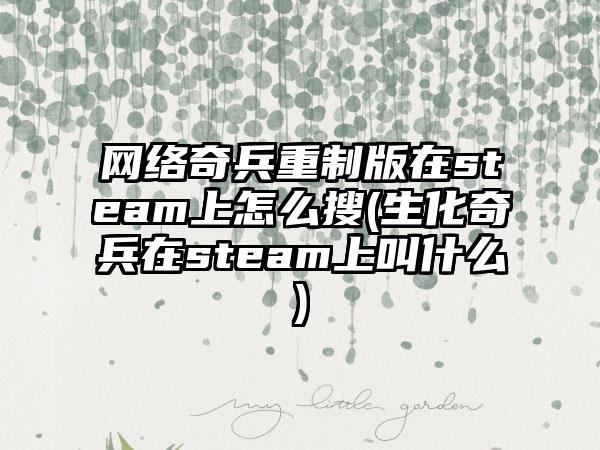 网络奇兵重制版在steam上怎么搜(生化奇兵在steam上叫什么)