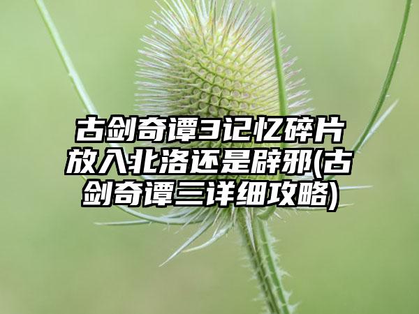 古剑奇谭3记忆碎片放入北洛还是辟邪(古剑奇谭三详细攻略)