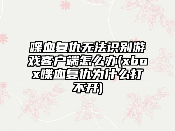喋血复仇无法识别游戏客户端怎么办(xbox喋血复仇为什么打不开)