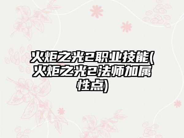 火炬之光2职业技能(火炬之光2法师加属性点)
