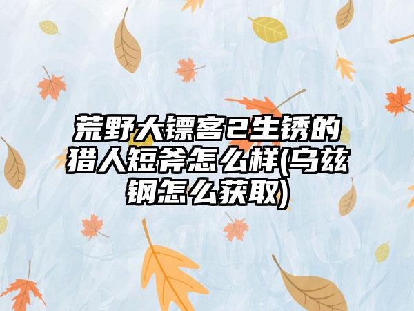 荒野大镖客2生锈的猎人短斧怎么样(乌兹钢怎么获取)