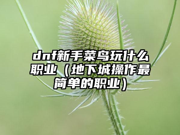 dnf新手菜鸟玩什么职业（地下城操作最简单的职业）
