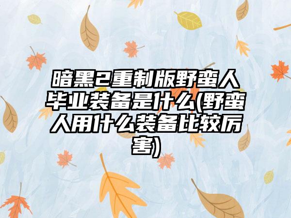 暗黑2重制版野蛮人毕业装备是什么(野蛮人用什么装备比较厉害)