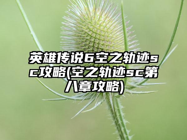 英雄传说6空之轨迹sc攻略(空之轨迹sc第八章攻略)