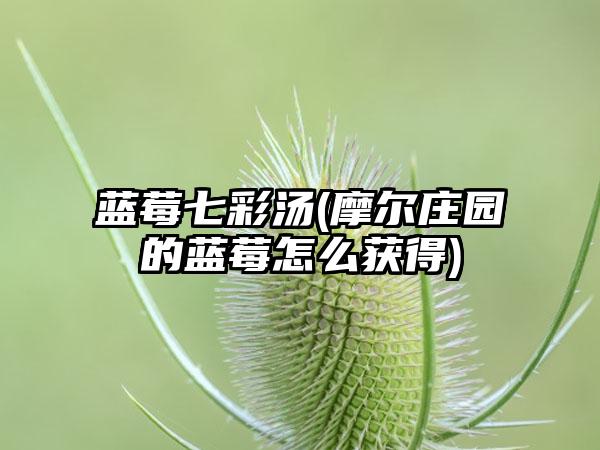 蓝莓七彩汤(摩尔庄园的蓝莓怎么获得)