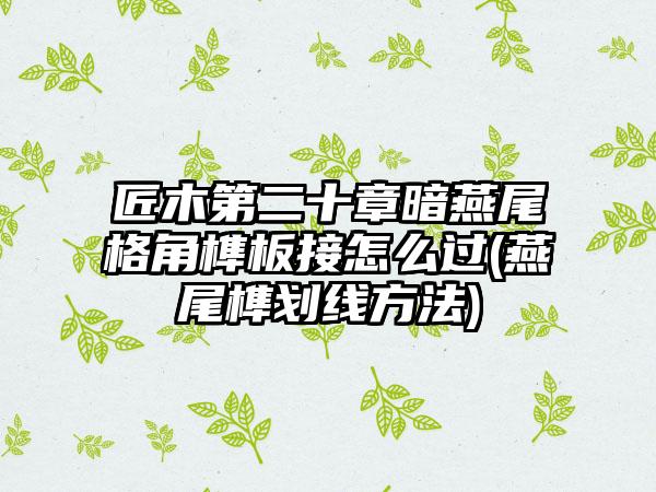 匠木第二十章暗燕尾格角榫板接怎么过(燕尾榫划线方法)