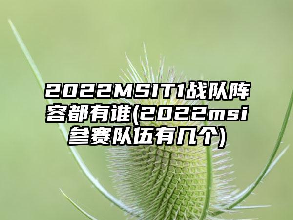 2022MSIT1战队阵容都有谁(2022msi参赛队伍有几个)