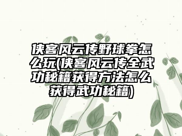 侠客风云传野球拳怎么玩(侠客风云传全武功秘籍获得方法怎么获得武功秘籍)