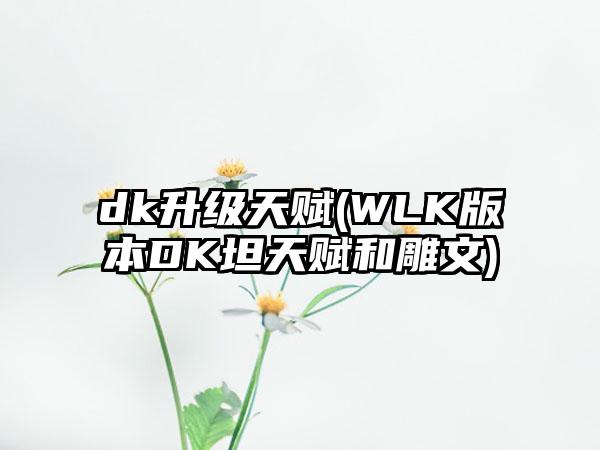 dk升级天赋(WLK版本DK坦天赋和雕文)