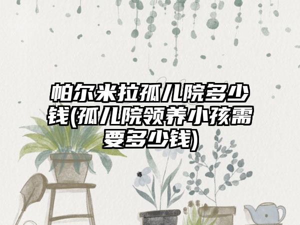 帕尔米拉孤儿院多少钱(孤儿院领养小孩需要多少钱)