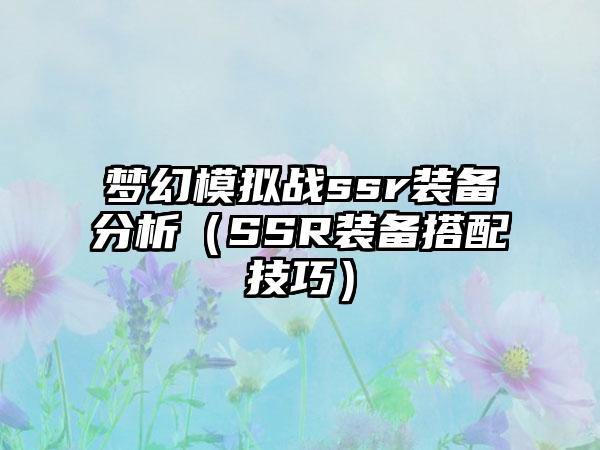 梦幻模拟战ssr装备分析（SSR装备搭配技巧）