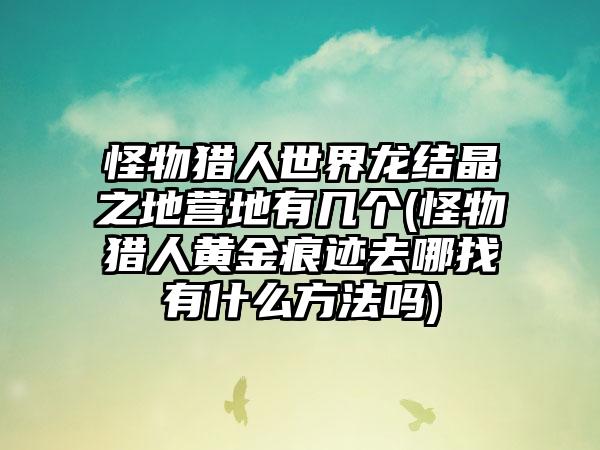 怪物猎人世界龙结晶之地营地有几个(怪物猎人黄金痕迹去哪找有什么方法吗)