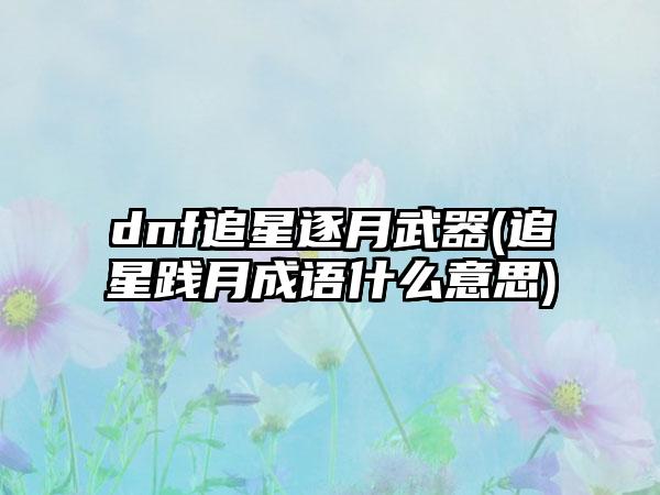 dnf追星逐月武器(追星践月成语什么意思)