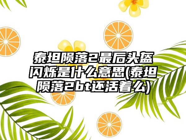 泰坦陨落2最后头盔闪烁是什么意思(泰坦陨落2bt还活着么)