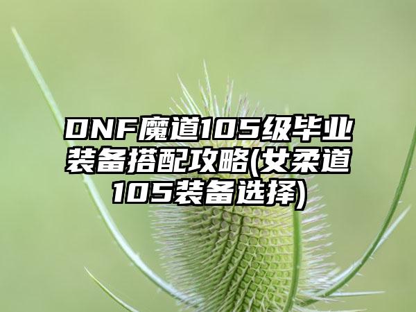 DNF魔道105级毕业装备搭配攻略(女柔道105装备选择)