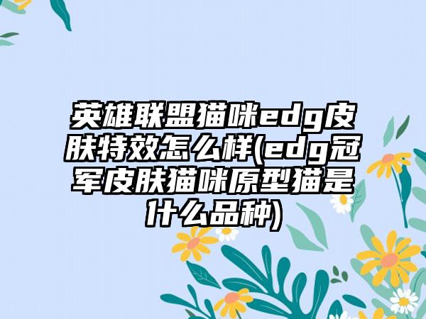 英雄联盟猫咪edg皮肤特效怎么样(edg冠军皮肤猫咪原型猫是什么品种)