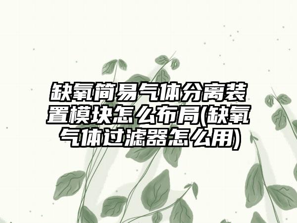 缺氧简易气体分离装置模块怎么布局(缺氧气体过滤器怎么用)