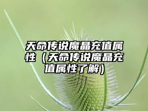 天命传说魔晶充值属性（天命传说魔晶充值属性了解）