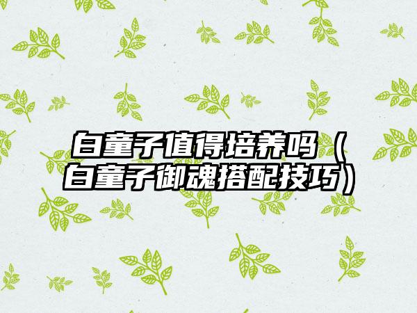 白童子值得培养吗（白童子御魂搭配技巧）