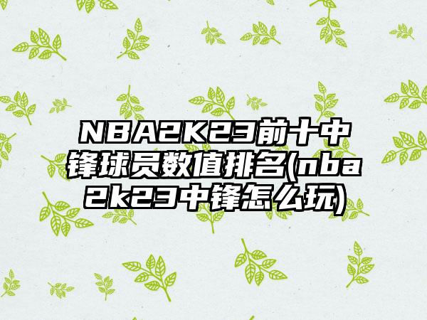 NBA2K23前十中锋球员数值排名(nba2k23中锋怎么玩)