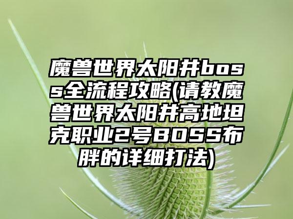 魔兽世界太阳井boss全流程攻略(请教魔兽世界太阳井高地坦克职业2号BOSS布胖的详细打法)