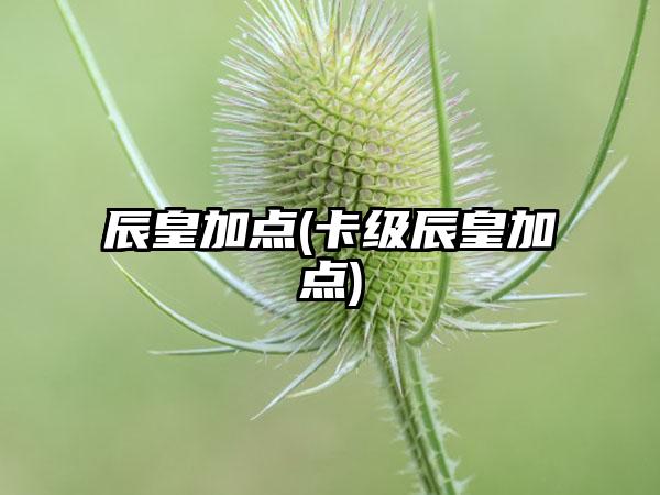 辰皇加点(卡级辰皇加点)