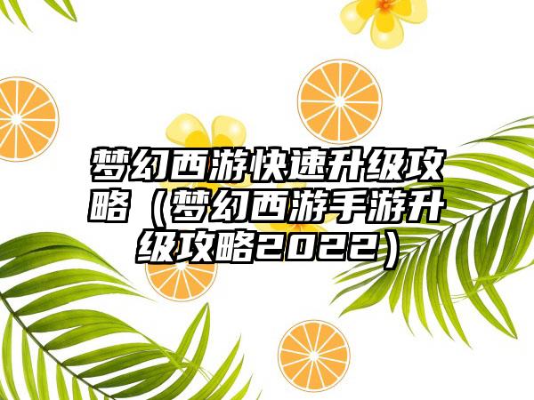 梦幻西游快速升级攻略（梦幻西游手游升级攻略2022）
