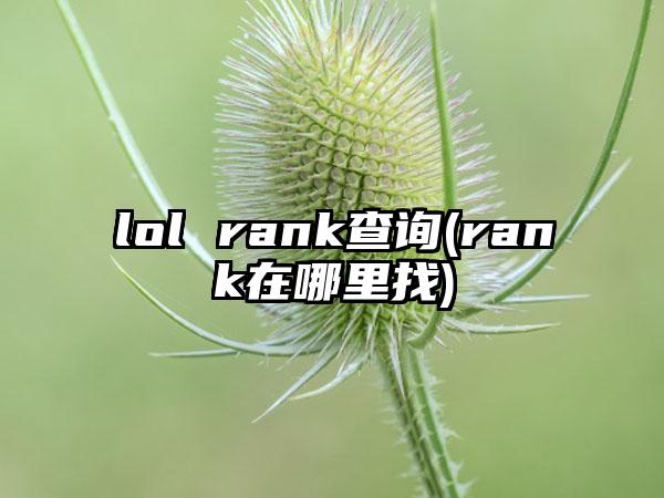 lol rank查询(rank在哪里找)