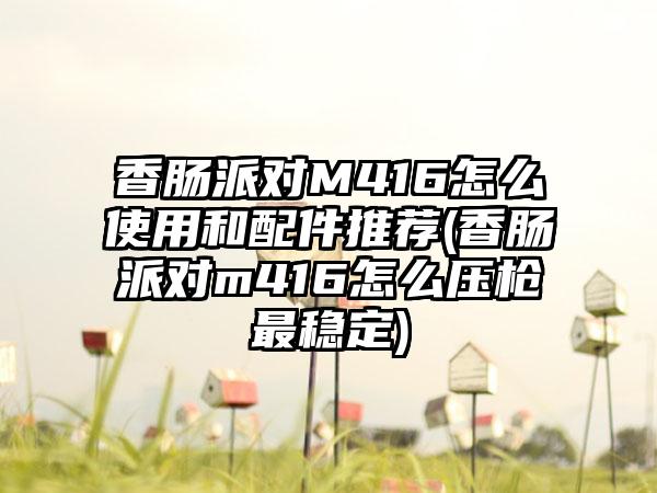 香肠派对M416怎么使用和配件推荐(香肠派对m416怎么压枪最稳定)