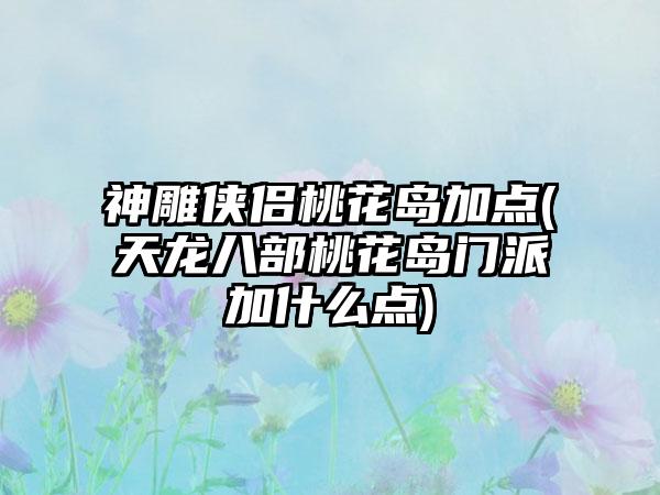 神雕侠侣桃花岛加点(天龙八部桃花岛门派加什么点)