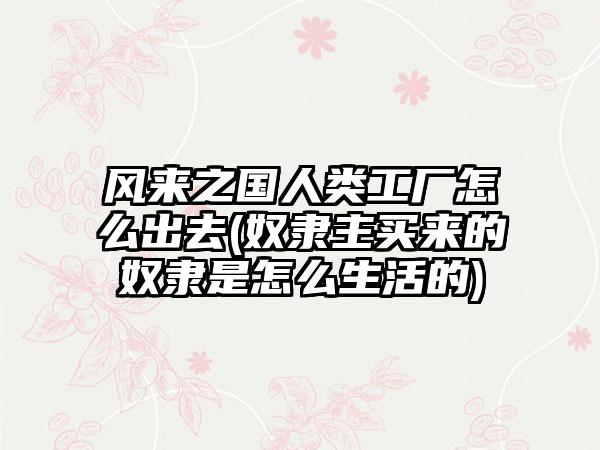 风来之国人类工厂怎么出去(奴隶主买来的奴隶是怎么生活的)