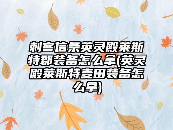 刺客信条英灵殿莱斯特郡装备怎么拿(英灵殿莱斯特麦田装备怎么拿)