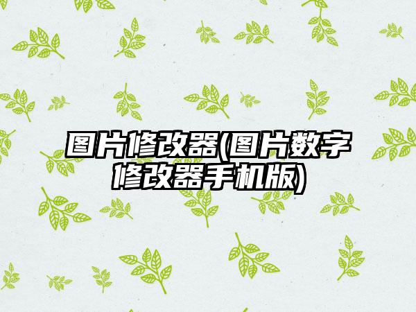 图片修改器(图片数字修改器手机版)