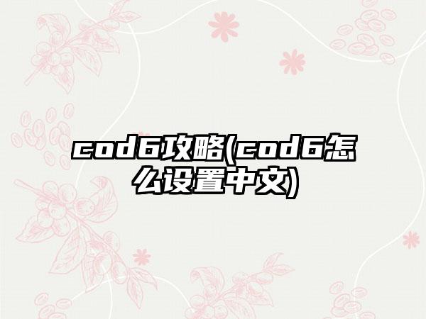 cod6攻略(cod6怎么设置中文)