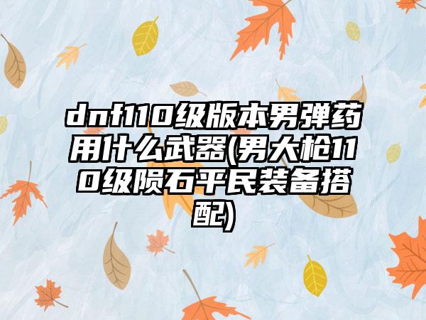 dnf110级版本男弹药用什么武器(男大枪110级陨石平民装备搭配)