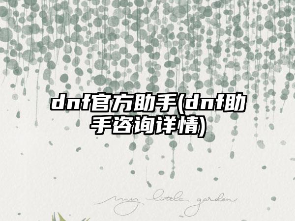 dnf官方助手(dnf助手咨询详情)