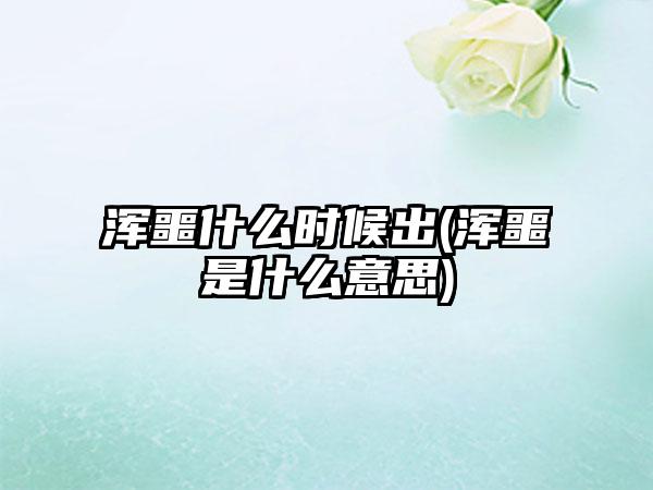 浑噩什么时候出(浑噩是什么意思)