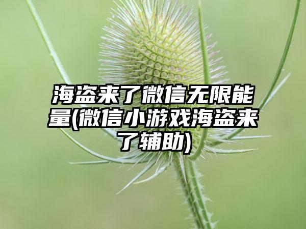 海盗来了微信无限能量(微信小游戏海盗来了辅助)