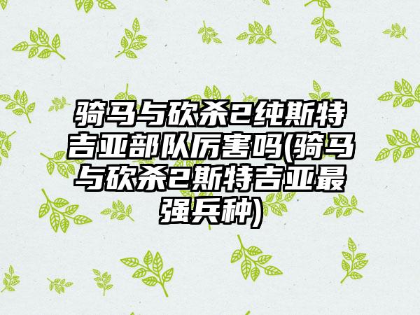 骑马与砍杀2纯斯特吉亚部队厉害吗(骑马与砍杀2斯特吉亚最强兵种)