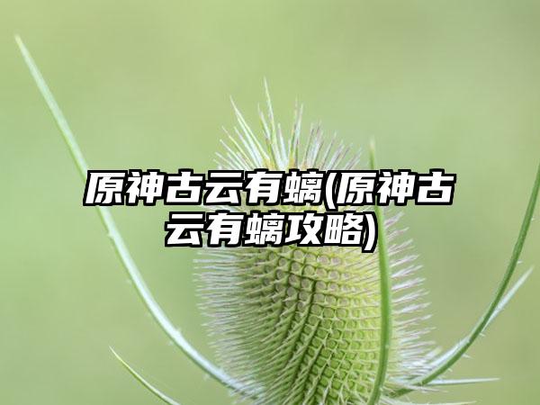 原神古云有螭(原神古云有螭攻略)